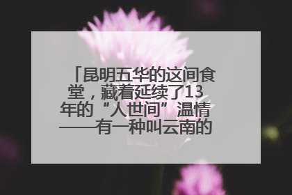 昆明五华的这间食堂，藏着延续了13年的“人世间”温情——有一种叫云南的生活之365天
