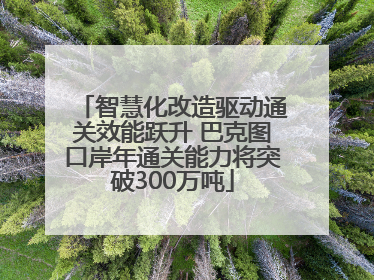 智慧化改造驱动通关效能跃升 巴克图口岸年通关能力将突破300万吨