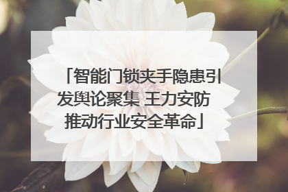 智能门锁夹手隐患引发舆论聚集 王力安防推动行业安全革命