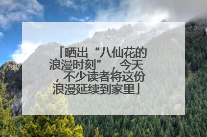 晒出“八仙花的浪漫时刻”，今天，不少读者将这份浪漫延续到家里