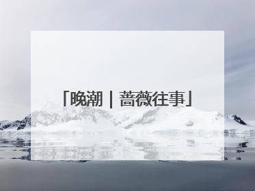晚潮｜蔷薇往事