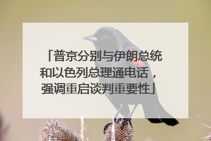 普京分别与伊朗总统和以色列总理通电话，强调重启谈判重要性