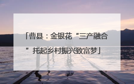 曹县：金银花“三产融合”托起乡村振兴致富梦