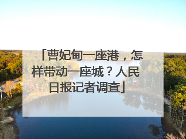 曹妃甸一座港，怎样带动一座城？人民日报记者调查