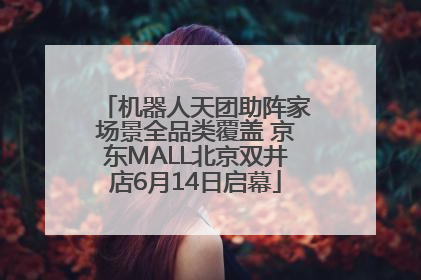 机器人天团助阵家场景全品类覆盖 京东MALL北京双井店6月14日启幕