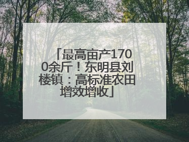 最高亩产1700余斤！东明县刘楼镇：高标准农田增效增收