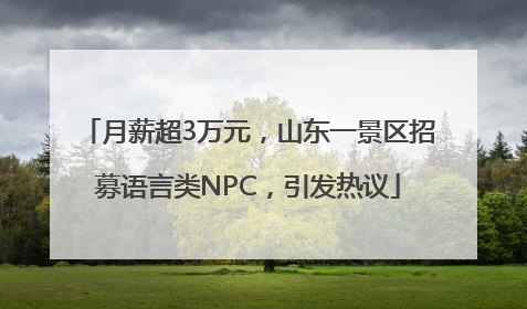 月薪超3万元，山东一景区招募语言类NPC，引发热议