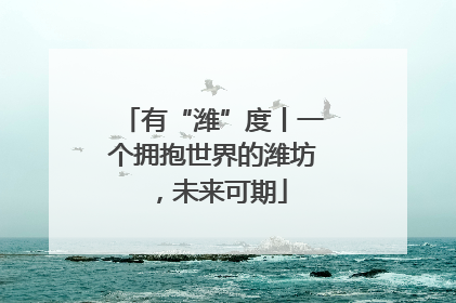 有“潍”度丨一个拥抱世界的潍坊，未来可期