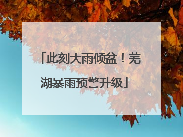 此刻大雨倾盆！芜湖暴雨预警升级