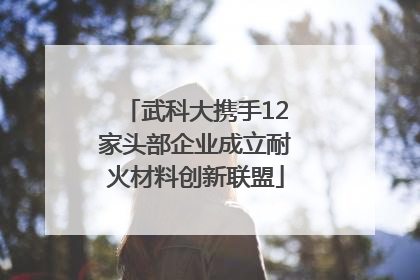 武科大携手12家头部企业成立耐火材料创新联盟
