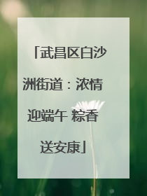 武昌区白沙洲街道：浓情迎端午 粽香送安康