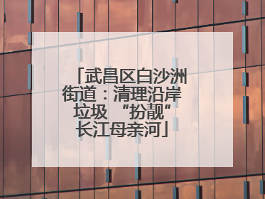 武昌区白沙洲街道：清理沿岸垃圾 “扮靓”长江母亲河