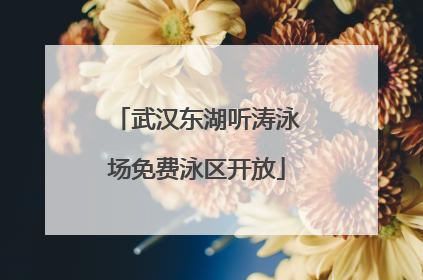 武汉东湖听涛泳场免费泳区开放