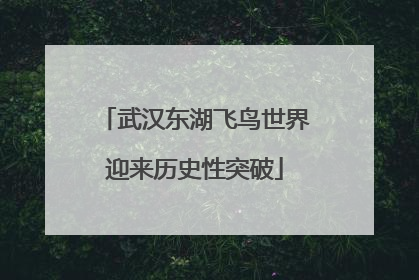 武汉东湖飞鸟世界迎来历史性突破
