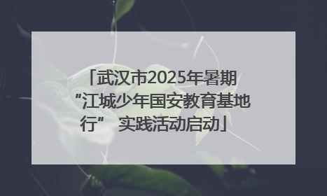 武汉市2025年暑期“江城少年国安教育基地行” 实践活动启动