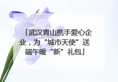 武汉青山携手爱心企业，为“城市天使”送端午暖“新”礼包