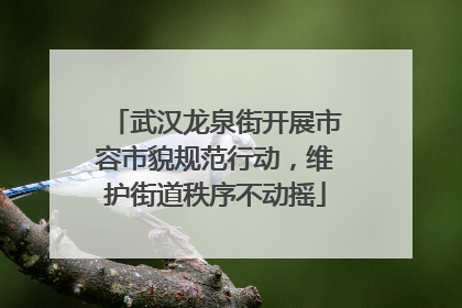 武汉龙泉街开展市容市貌规范行动，维护街道秩序不动摇