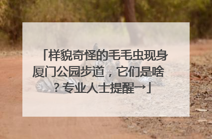 样貌奇怪的毛毛虫现身厦门公园步道，它们是啥？专业人士提醒→