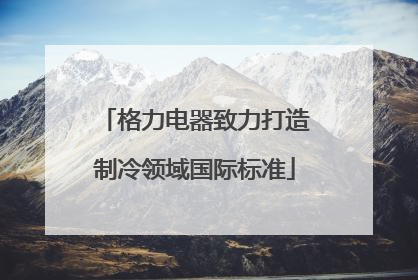 格力电器致力打造制冷领域国际标准