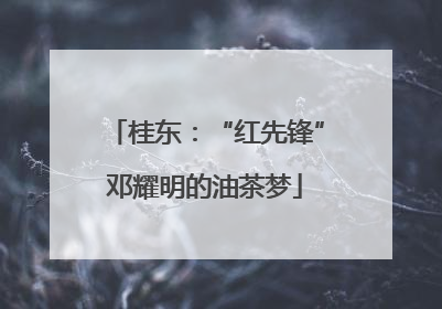 桂东：“红先锋”邓耀明的油茶梦