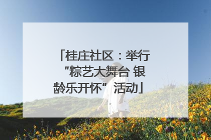 桂庄社区：举行“粽艺大舞台 银龄乐开怀”活动