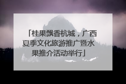 桂果飘香杭城，广西夏季文化旅游推广暨水果推介活动举行