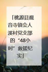 桃源县观音寺镇会人溪村党支部的“48小时”救援纪实