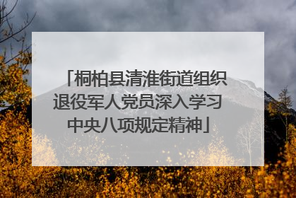 桐柏县清淮街道组织退役军人党员深入学习中央八项规定精神