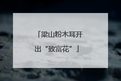 梁山粉木耳开出“致富花”
