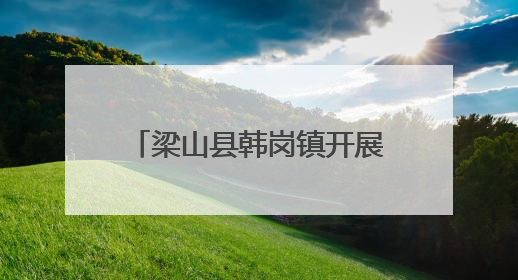 梁山县韩岗镇开展反邪教宣传活动