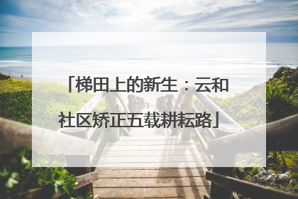 梯田上的新生：云和社区矫正五载耕耘路
