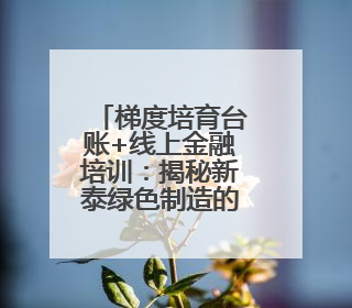 梯度培育台账+线上金融培训：揭秘新泰绿色制造的精准滴灌模式