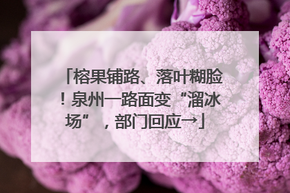 榕果铺路、落叶糊脸！泉州一路面变“溜冰场”，部门回应→