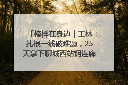 榜样在身边｜王林：扎根一线破难题，25天拿下聊城西站钢连廊“硬核”工程
