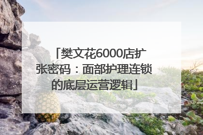樊文花6000店扩张密码：面部护理连锁的底层运营逻辑