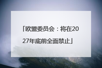欧盟委员会：将在2027年底前全面禁止