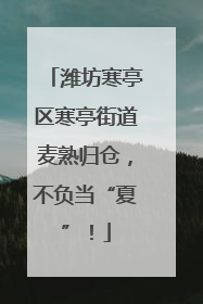 潍坊寒亭区寒亭街道麦熟归仓，不负当“夏”！