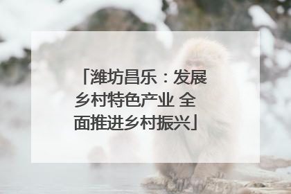 潍坊昌乐：发展乡村特色产业 全面推进乡村振兴
