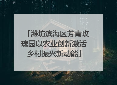 潍坊滨海区芳青玫瑰园以农业创新激活乡村振兴新动能