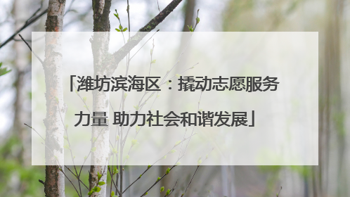 潍坊滨海区：撬动志愿服务力量 助力社会和谐发展