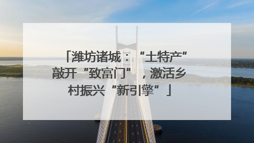 潍坊诸城：“土特产”敲开“致富门”，激活乡村振兴“新引擎”