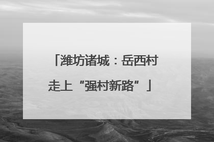 潍坊诸城：岳西村走上“强村新路”