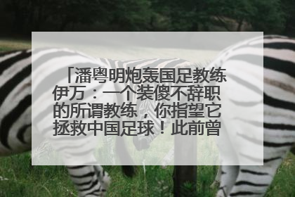 潘粤明炮轰国足教练伊万：一个装傻不辞职的所谓教练，你指望它拯救中国足球！此前曾多次发文评价国足