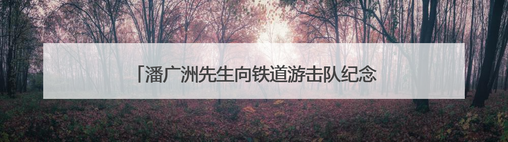 潘广洲先生向铁道游击队纪念馆无偿捐赠珍贵历史见证物