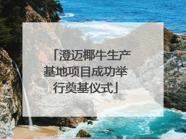 澄迈椰牛生产基地项目成功举行奠基仪式