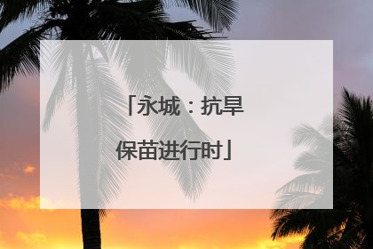 永城：抗旱保苗进行时