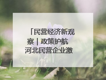 民营经济新观察｜政策护航 河北民营企业激发新“冀”遇