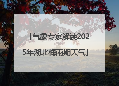 气象专家解读2025年湖北梅雨期天气