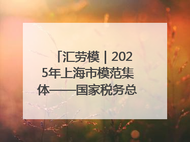 汇劳模｜2025年上海市模范集体——国家税务总局上海市徐汇区税务局第一税务所