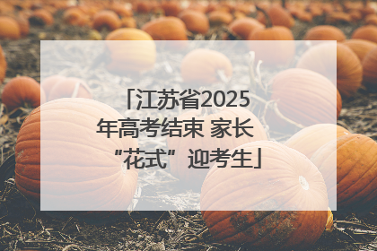 江苏省2025年高考结束 家长“花式”迎考生